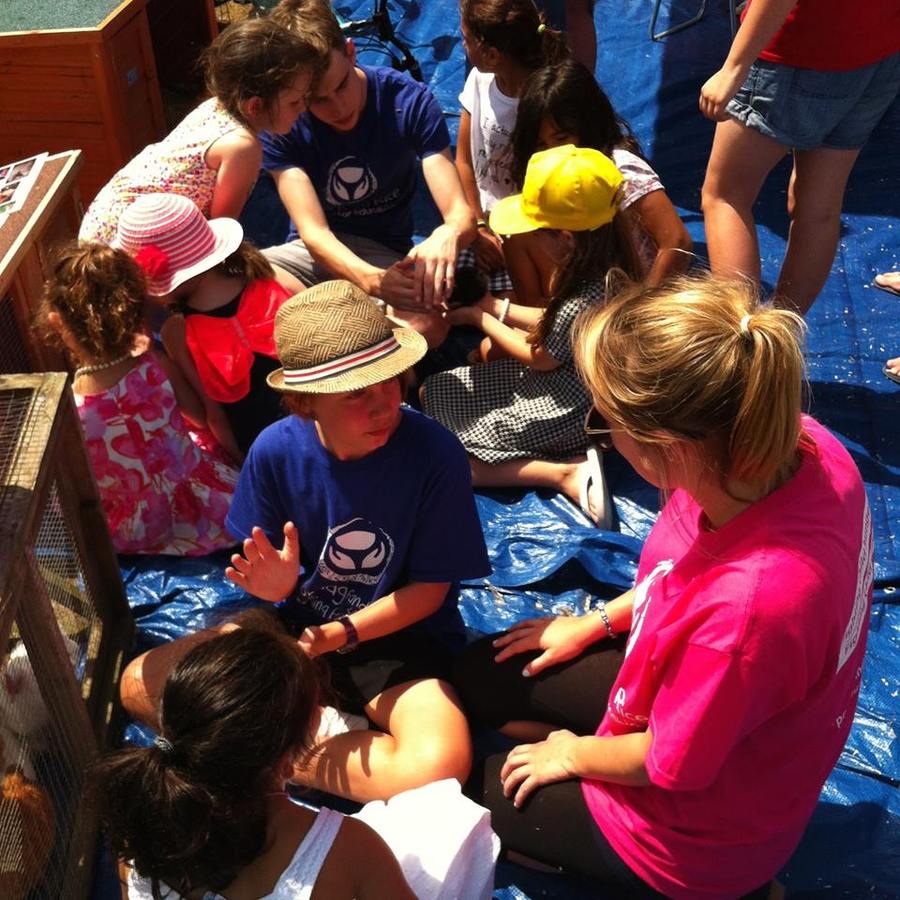 The small animal petting zoo was popular!